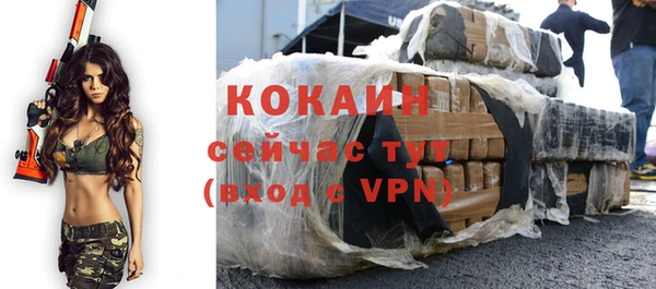 МДПВ Вяземский