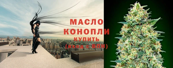 МДПВ Вяземский