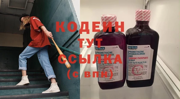 МДПВ Вяземский